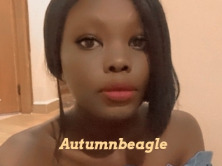 Autumnbeagle
