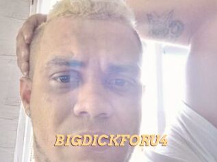 BIGDICKFORU4