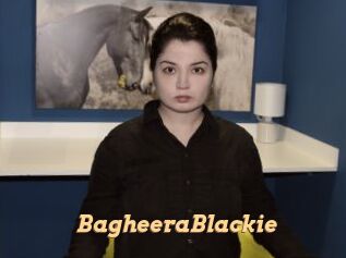 BagheeraBlackie Live Paradise