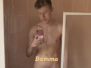 Bammo