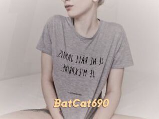 BatCat690