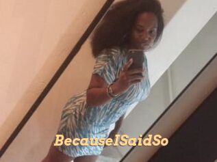 BecauseISaidSo