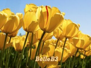 BelleB3