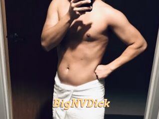 BigNVDick