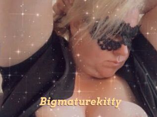 Bigmaturekitty