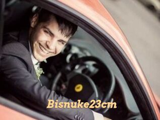 Bisnuke23cm