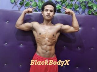 BlackBodyX