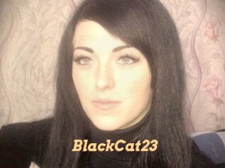 BlackCat23