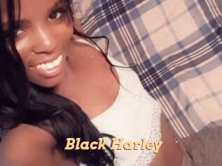 Black_Harley