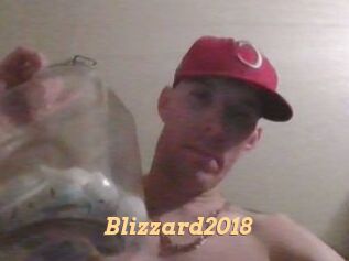 Blizzard2018