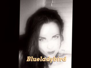 Blueladybird