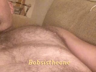 Bobsistheone