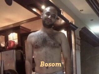 Bosom