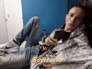 BoyHorse