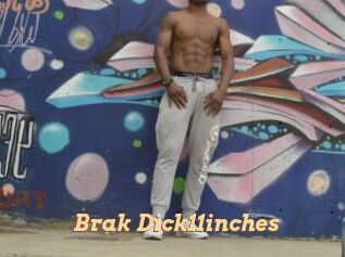 Brak_Dick11inches
