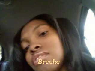 Breche