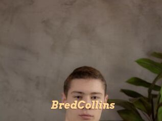 BredCollins