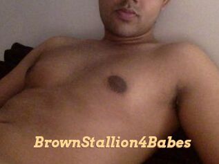 BrownStallion4Babes