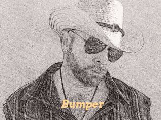 Bumper