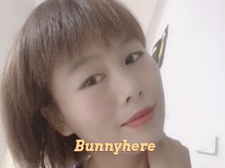 Bunnyhere