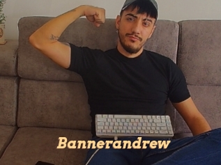 bannerandrew Live Paradise