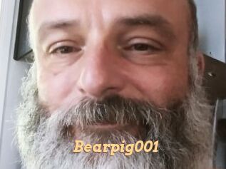 Bearpig001