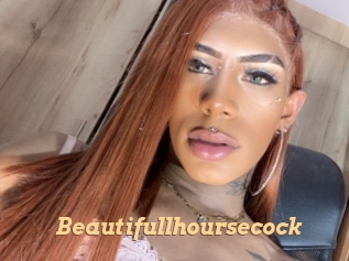 Beautifullhoursecock