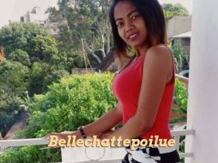 Bellechattepoilue