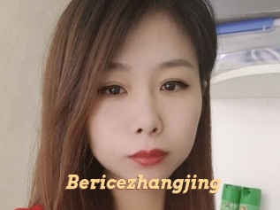 Bericezhangjing