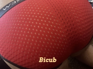 Bicub