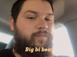 Big_bi_bear