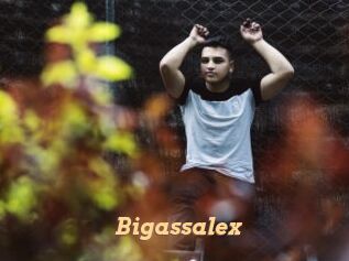 Bigassalex