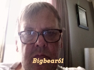 Bigbear61