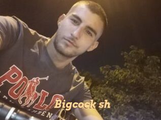 Bigcock_sh