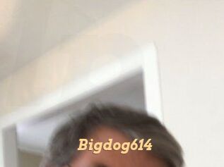 Bigdog614