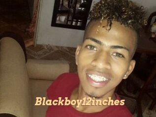 Blackboy12inches