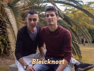 Bleicknort