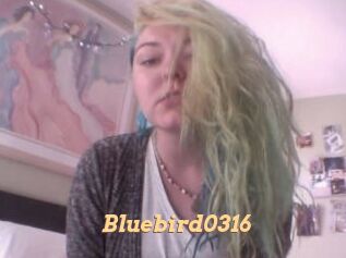 Bluebird0316