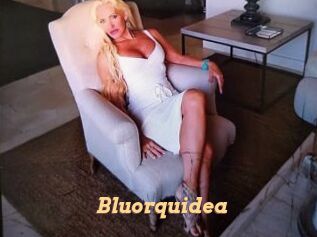 Bluorquidea
