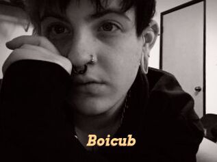 Boicub