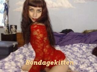 Bondagekitten