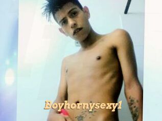 Boyhornysexy1