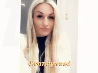 Brandyweed