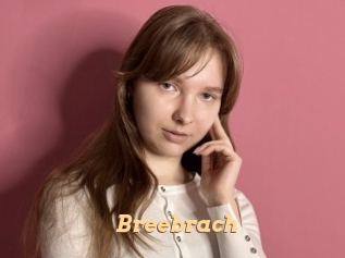 Breebrach