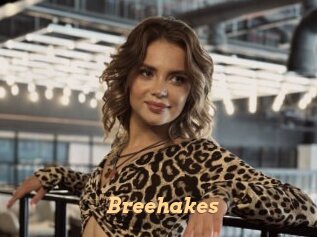 breehakes Live Paradise