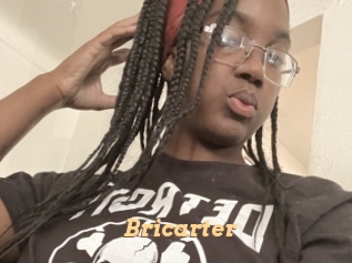 Bricarter