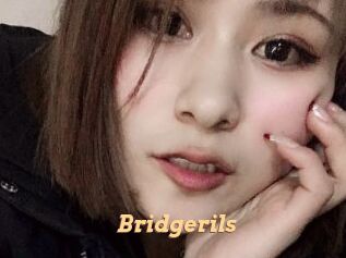 Bridgerils