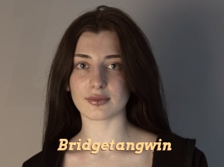 Bridgetangwin