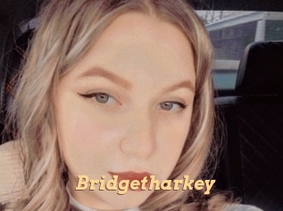 Bridgetharkey