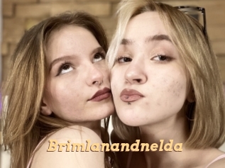 Brimlanandnelda